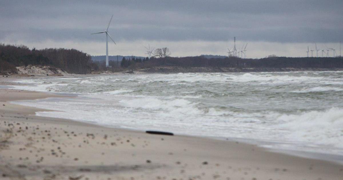 На берегу моря в Куликово найден скелет человека - Новости Калининграда