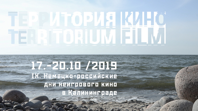 Какие фильмы покажут на фестивале "Территория кино" в Калининграде