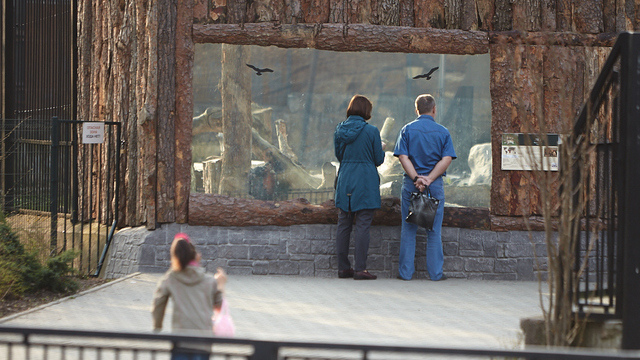 Калининградских пенсионеров бесплатно пустят в музей и проведут экскурсию по зоопарку