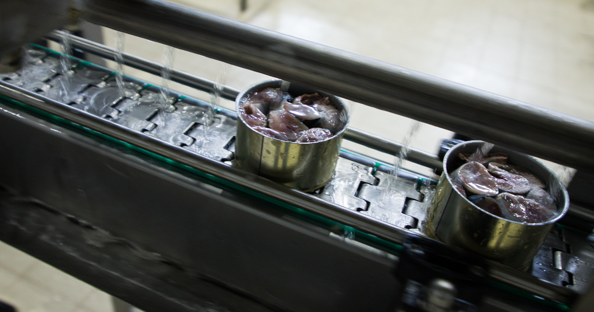 В Гвардейске планируют открыть завод по производству рыбных консервов ...