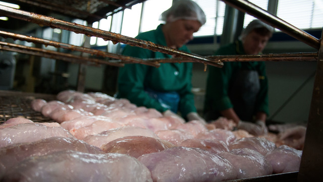 Эксперты Роскачества нашли в курином филе хлор и антибиотики