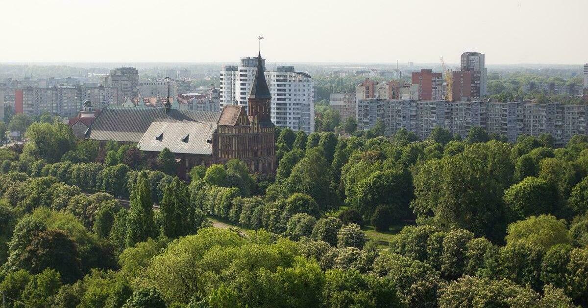 Донское калининградская фото