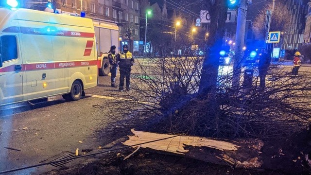 В Калининграде арестовали водителя сгоревшей на Барнаульской KIA с человеком внутри