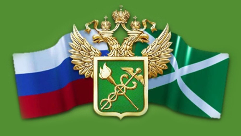 В калининградской школе открывается таможенный класс - Новости Калининграда В калининградской школе открывается таможенный класс - Новости Калининграда