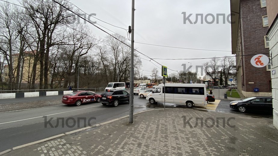 В Калининграде у зоопарка установят светофоры - Новости Калининграда | Фото Александра Подгорчука В Калининграде у зоопарка установят светофоры - Новости Калининграда | Фото Александра Подгорчука