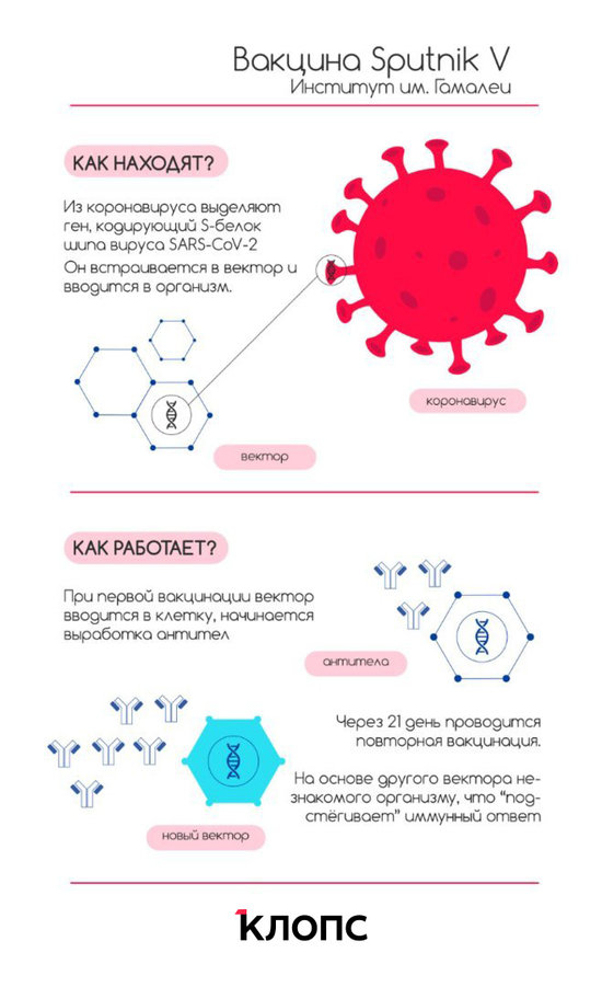Дадут ли больничный и чем второй компонент отличается от первого: 5 наивных вопросов о прививках - Новости Калининграда Дадут ли больничный и чем второй компонент отличается от первого: 5 наивных вопросов о прививках - Новости Калининграда