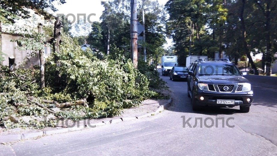 В Калининграде снова перенесли начало реконструкции улицы Карташева - Новости Калининграда | Фото Константина Серикова В Калининграде снова перенесли начало реконструкции улицы Карташева - Новости Калининграда | Фото Константина Серикова