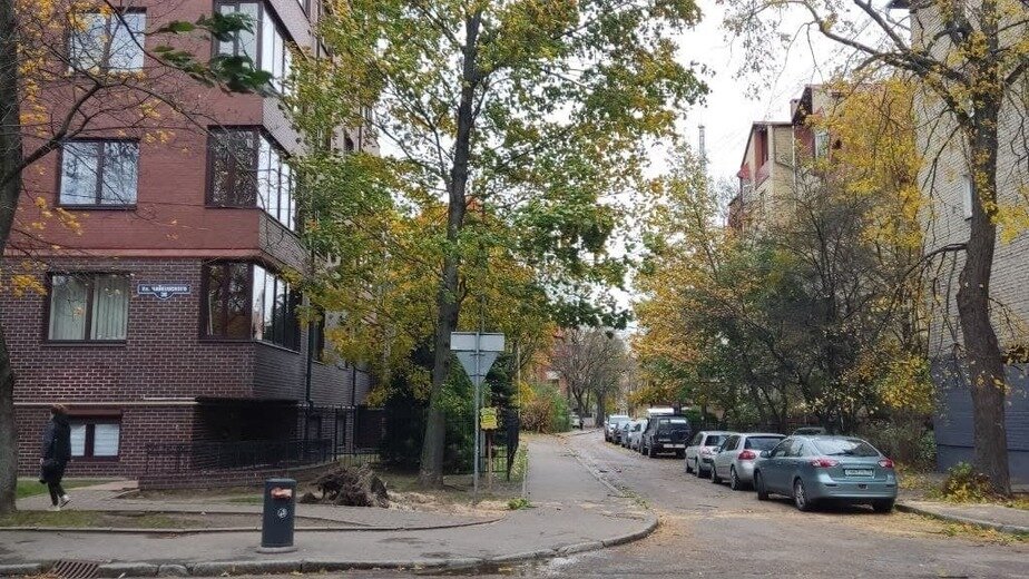 Место падения дерева на Чайковского | Фото читателя