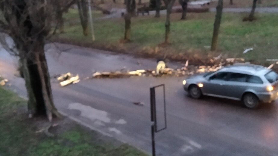 Поваленные деревья и упавшая стела: циклон «Даниэль» прошёлся по Калининградской области   - Новости Калининграда | Фото очевидцев