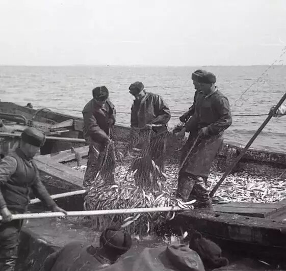 Рыбаки в Куршском заливе | Фото: Калининградский областной историко-художественный музей