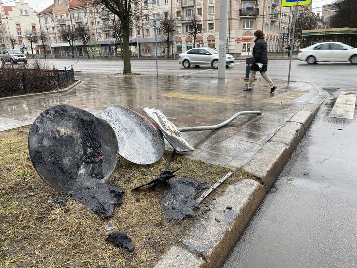 Лошадь врезалась в машину