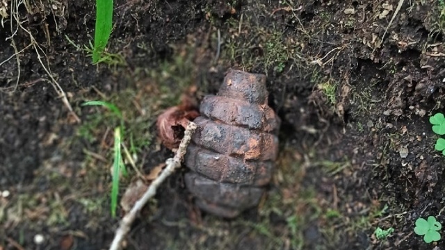 На какие опасные сюрпризы можно нарваться в лесах Калининградской области: истории 7 грибников (фото)