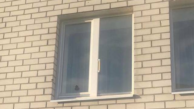 «Калом обкидали окно»: калининградку полгода донимают соседские дети