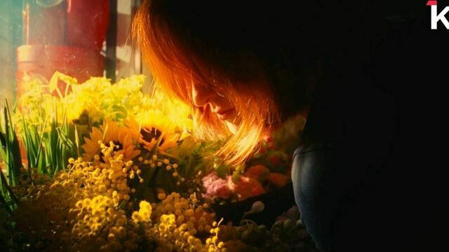 «Необязательно дарить 101 розу»: калининградская флористка — о признании в любви на языке цветов (видео)