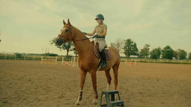 «Меня всему научили лошади»: как калининградка стала кандидатом в мастера спорта по конкуру (видео) 