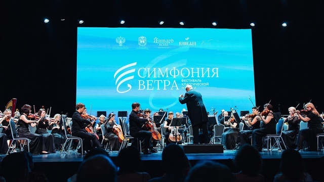 Концерты, бесплатные квизы и необычные выставки: 13 событий фестиваля «Симфония ветра»