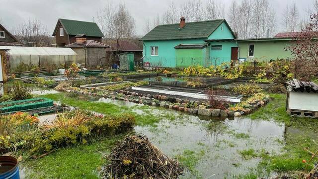 «Скоро будем заплывы устраивать»: репортаж из затопленного СНТ под Калининградом, где вода пробралась даже в дом